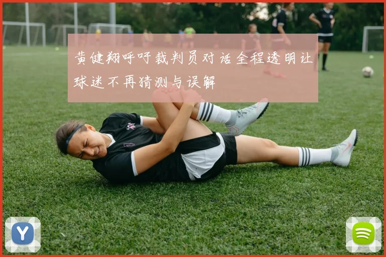 黄健翔呼吁裁判员对话全程透明让球迷不再猜测与误解