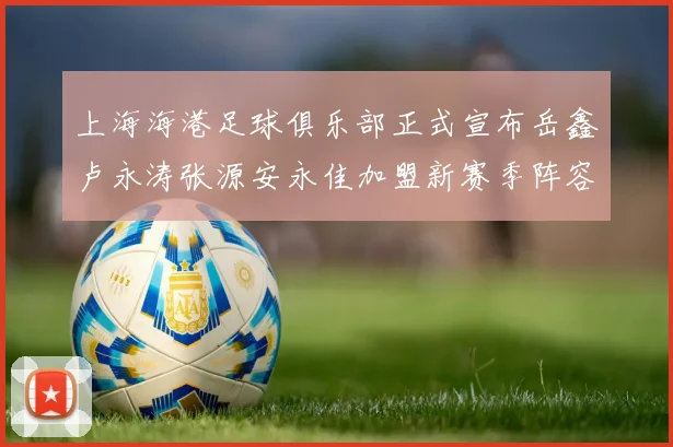 上海海港足球俱乐部正式宣布岳鑫卢永涛张源安永佳加盟新赛季阵容更新
